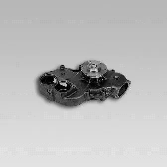 Water Pump, engine cooling (980954)