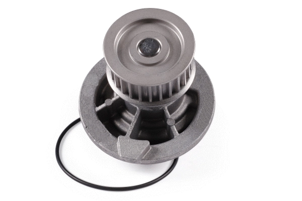 Water Pump, engine cooling (980734)