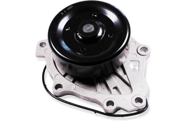 Water Pump, engine cooling (987789)