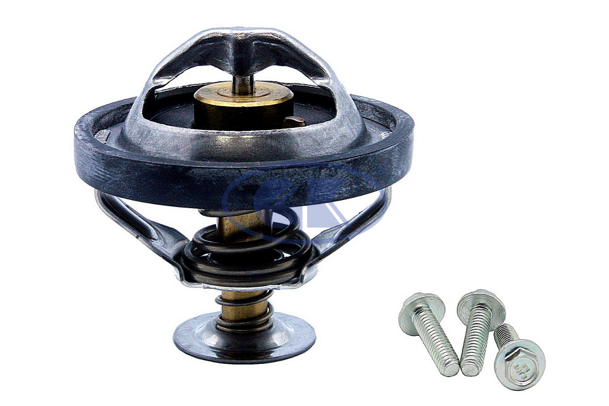 Thermostat, coolant (701275)