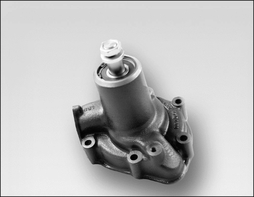 Water Pump, engine cooling (980971)