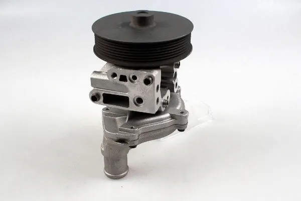 Water Pump, engine cooling (980791)