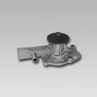 Water Pump, engine cooling (981769)
