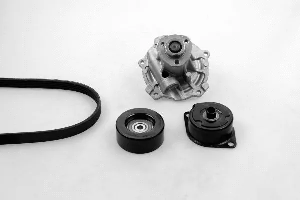 Water Pump + V-Ribbed Belt Kit (K980158E)