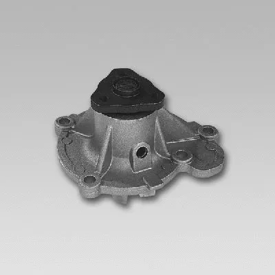 Water Pump, engine cooling (981749)