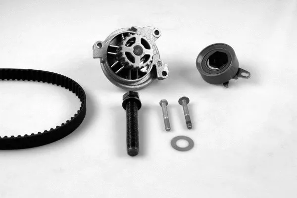 Water Pump & Timing Belt Kit (K980189F)