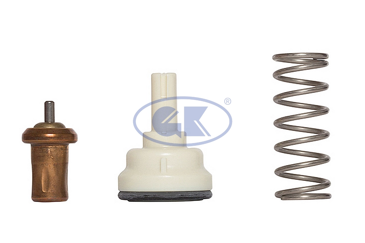 Thermostat, coolant (701166)