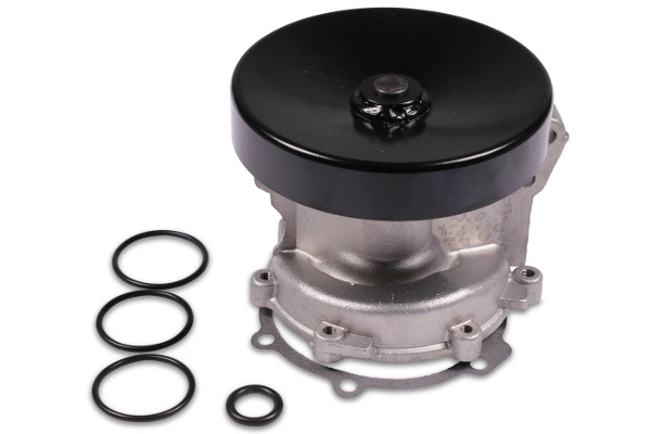 Water Pump, engine cooling (980225)