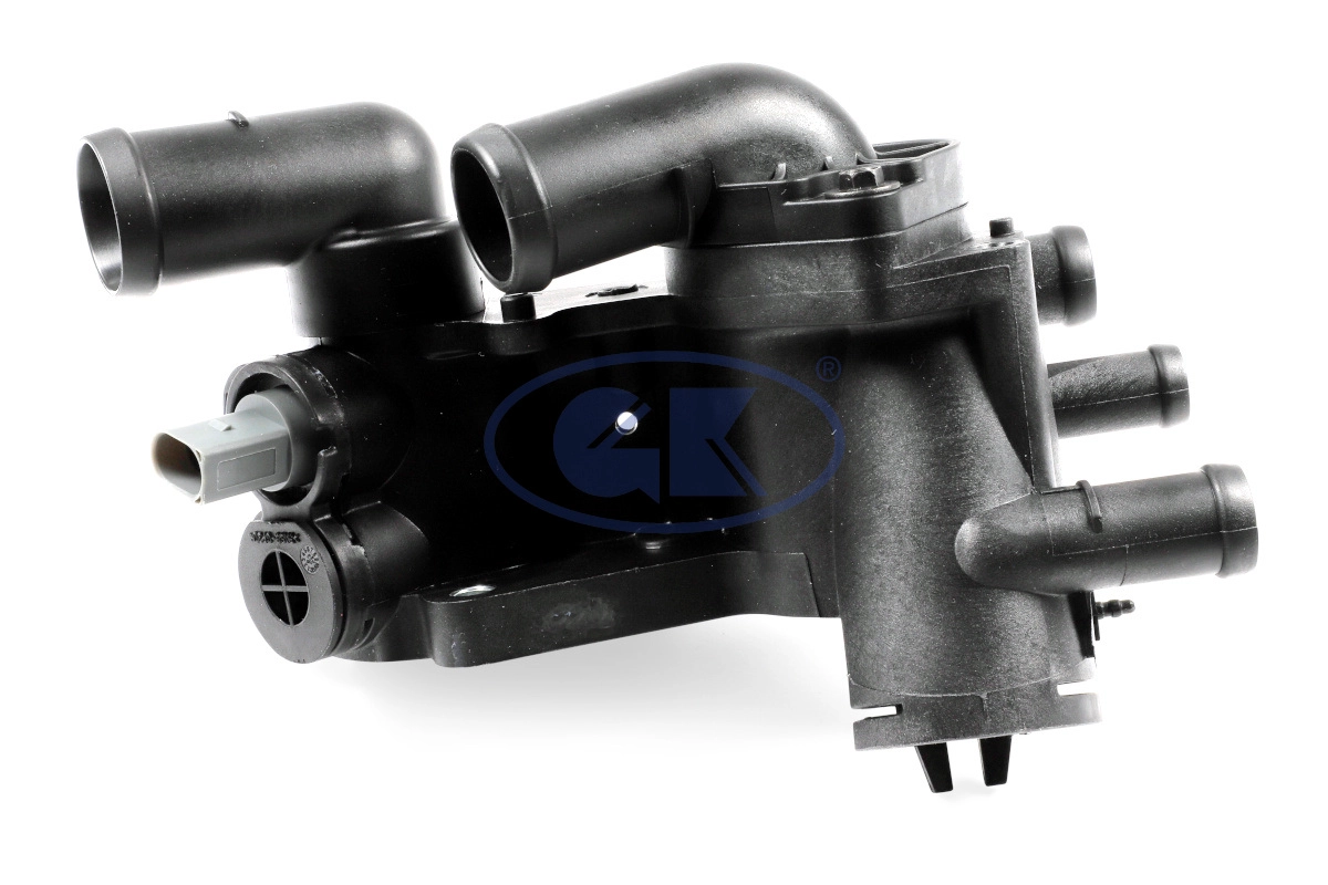 Thermostat, coolant (701173)