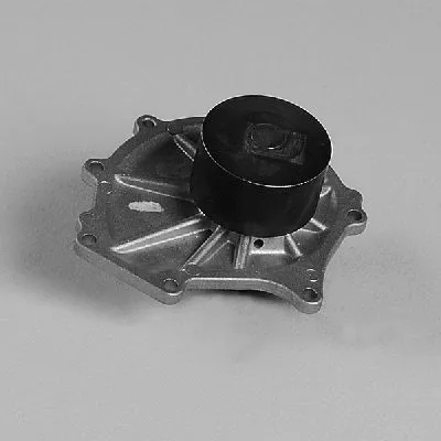 Water Pump, engine cooling (987981)