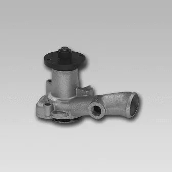 Water Pump, engine cooling (980013)
