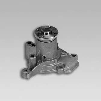 Water Pump, engine cooling (987726)
