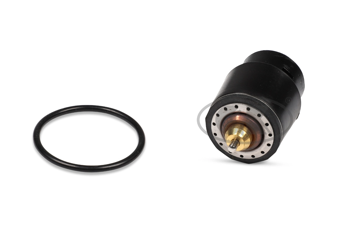Thermostat, coolant