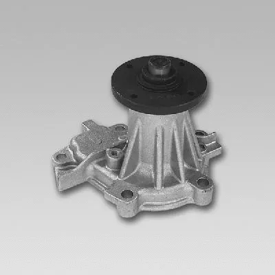 Water Pump, engine cooling (981774)