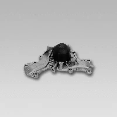 Water Pump, engine cooling (987724)