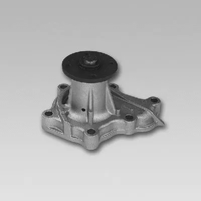 Water Pump, engine cooling (981744)