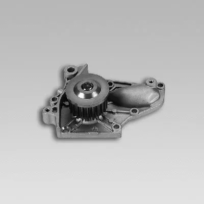 Water Pump, engine cooling (981763)
