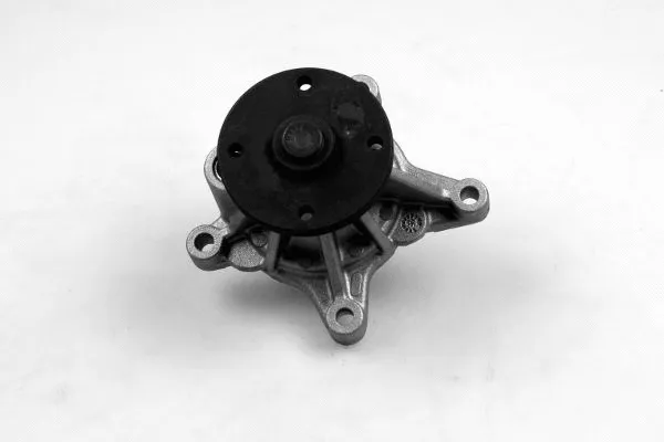 Water Pump, engine cooling (987744)