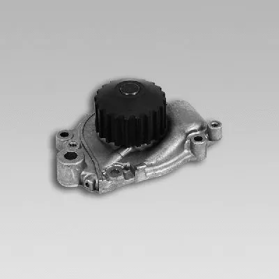 Water Pump, engine cooling (987804)