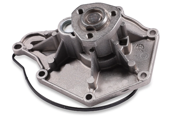 Water Pump, engine cooling (980291)
