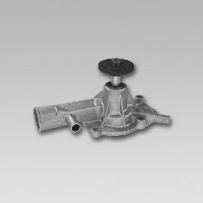 Water Pump, engine cooling (981770)