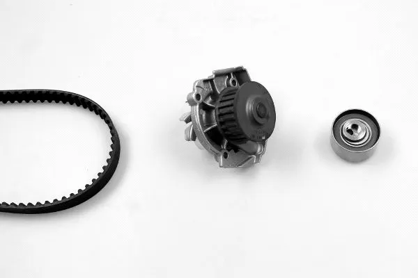 Water Pump & Timing Belt Kit (K985258B)