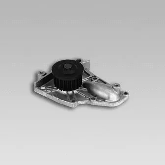 Water Pump, engine cooling (987773)