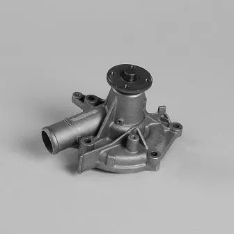 Water Pump, engine cooling (987716)