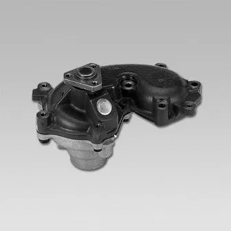 Water Pump, engine cooling (981062)