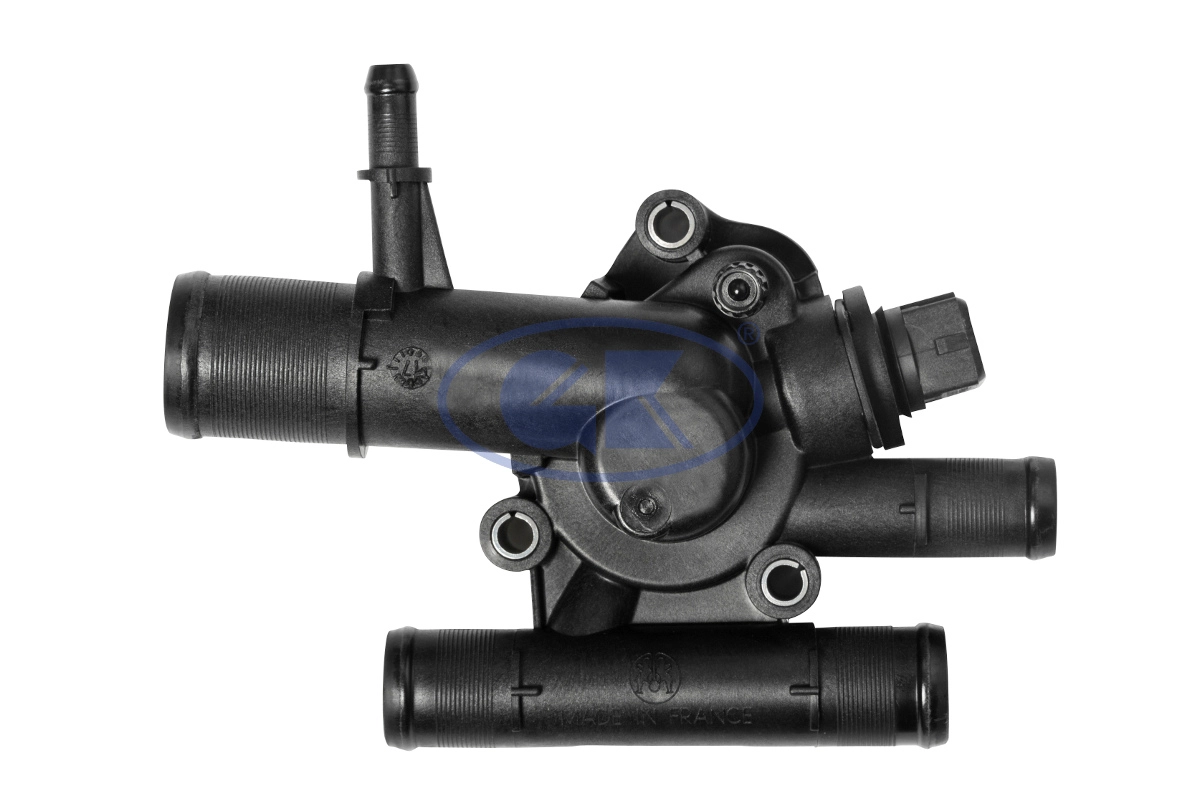 Thermostat, coolant (701219)