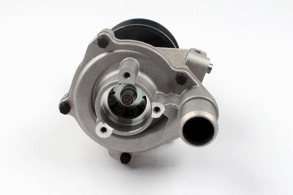 Water Pump, engine cooling (980790)