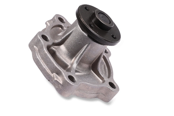 Water Pump, engine cooling (987521)