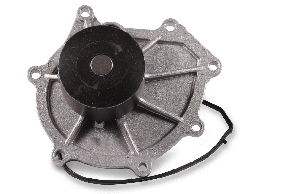Water Pump, engine cooling (982601)