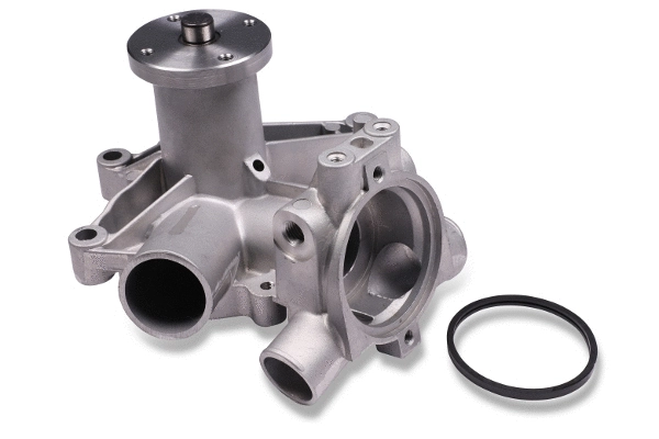 Water Pump, engine cooling (980111)