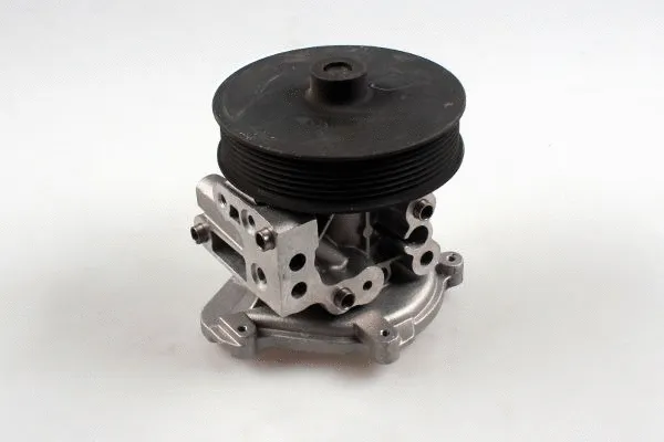 Water Pump, engine cooling (980794)