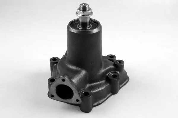 Water Pump, engine cooling (980975)
