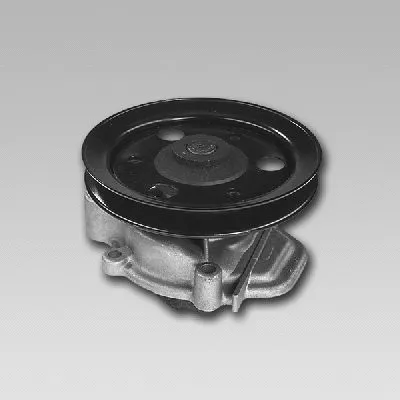 Water Pump, engine cooling (987801)