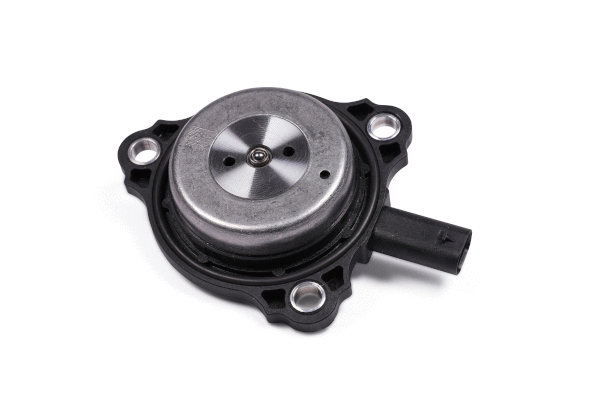 Central Magnet, camshaft adjustment (SK6086)
