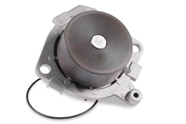Water Pump, engine cooling (985287)