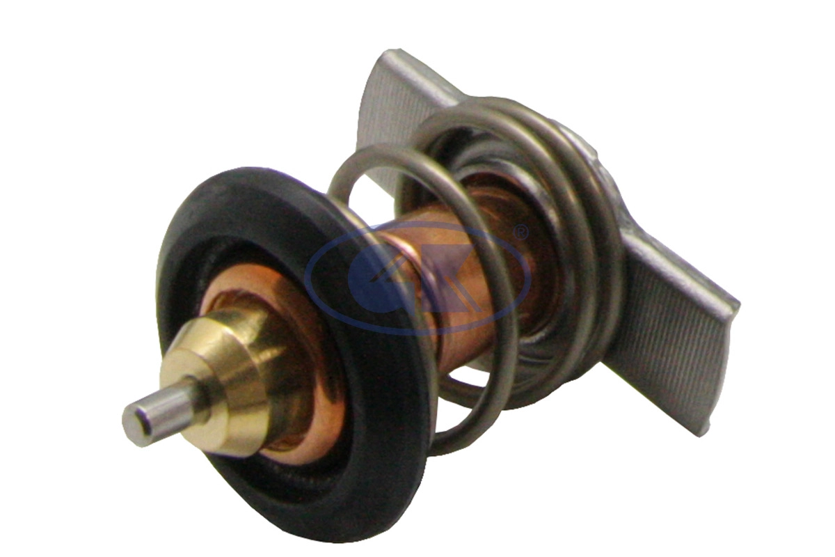 Thermostat, coolant (701350)