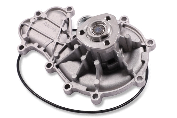 Water Pump, engine cooling (980312)