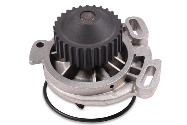 Water Pump, engine cooling (980149)