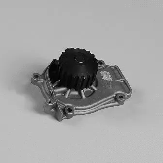 Water Pump, engine cooling (981785)