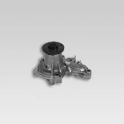 Water Pump, engine cooling (987776)