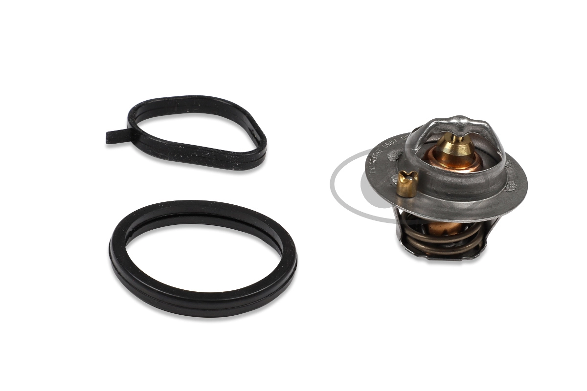 Thermostat, coolant (701267)