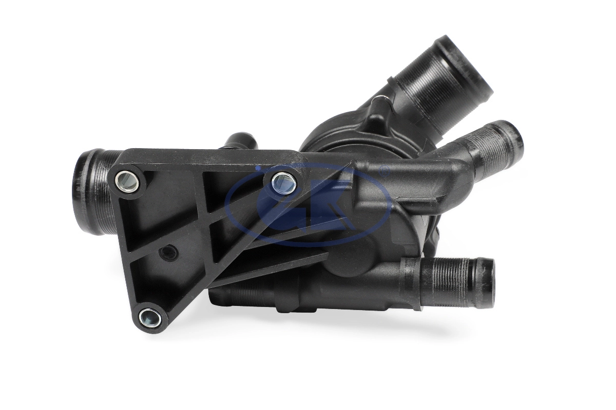 Thermostat, coolant (701086)