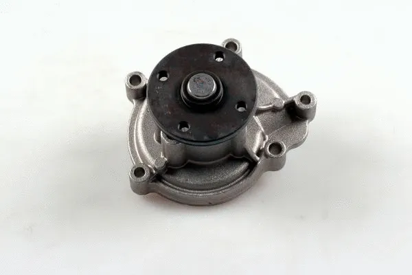 Water Pump, engine cooling (980423)