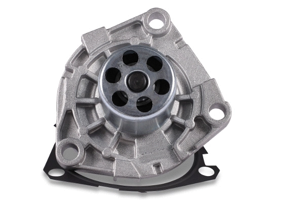 Water Pump, engine cooling (981089)