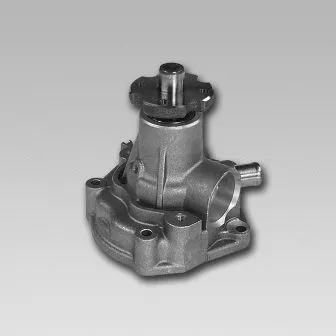 Water Pump, engine cooling (981026)