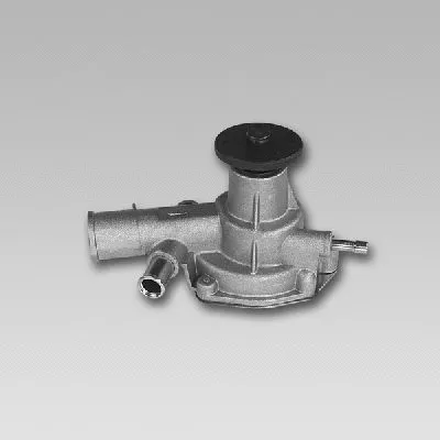Water Pump, engine cooling (981772)